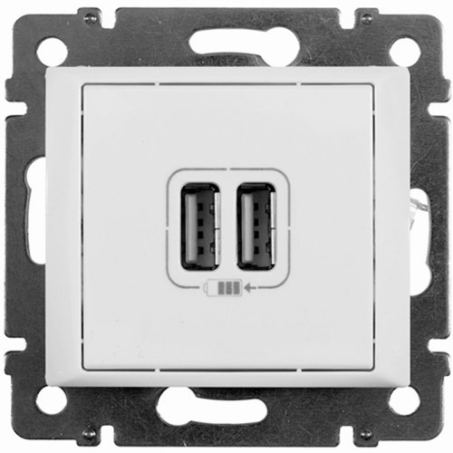 Розетка USB тип A+A без рамки Legrand Valena 2-м. 1500мА белый картинка